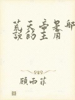 荒天帝是哪个小说的主角