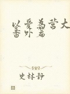 以爱为营大结局番外篇