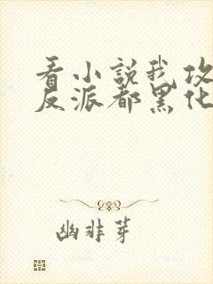 看小说我攻略的反派都黑化了