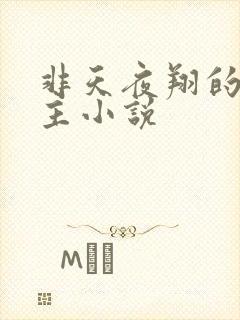 非天夜翔的双男主小说