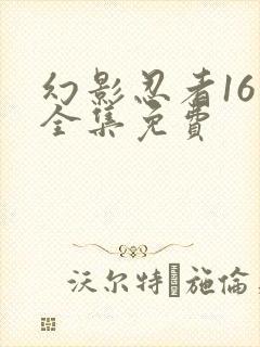 幻影忍者16季全集免费