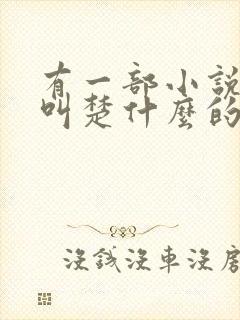 有一部小说主角叫楚什么的