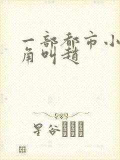 一部都市小说主角叫赵