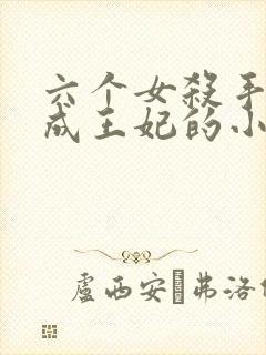 六个女杀手穿越成王妃的小说