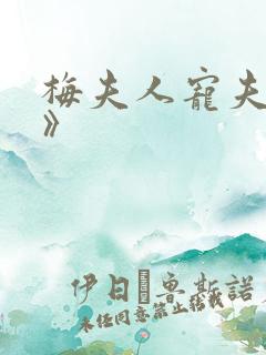 梅夫人宠夫日常》