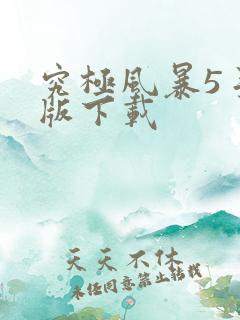 究极风暴5手机版下载