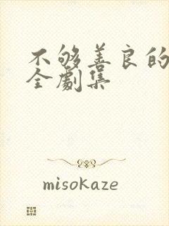 不够善良的我们全剧集