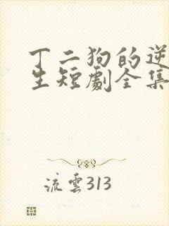 丁二狗的逆袭人生短剧全集免费观看