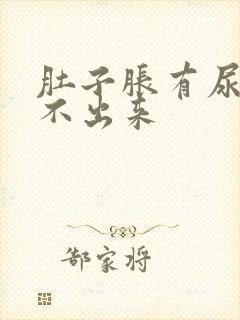 肚子胀有尿意尿不出来