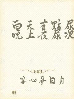 白天有点尿频,晚上夜尿次数多