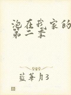 泡在我家的辣妹第二季