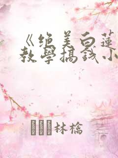 《绝美白莲在线教学搞钱小说》