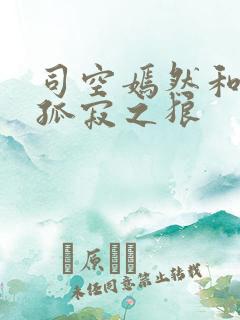 司空嫣然和叶凡孤寂之狼