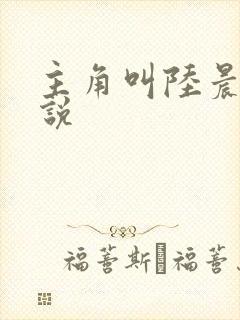 主角叫陆晨的小说