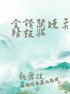 金锋关晓柔完整精校版