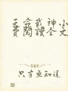 天命武神小说免费阅读全文