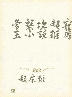 爹系攻超宠双男主小说推荐