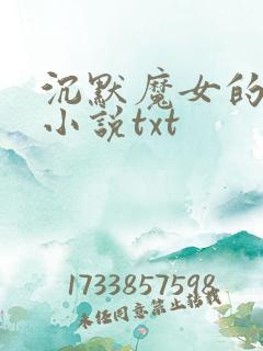 沉默魔女的秘密小说txt