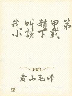 我叫赵甲第原著小说下载