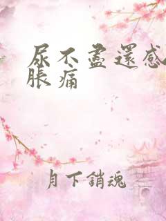 尿不尽还感觉有胀痛