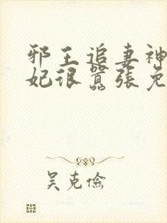 邪王追妻神医狂妃很嚣张免费阅读