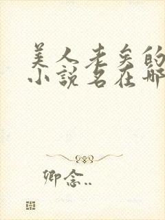美人老矣的原著小说名在哪里可以