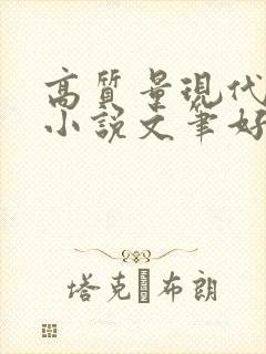 高质量现代言情小说文笔好