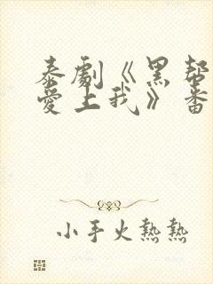 泰剧《黑帮少爷爱上我》番外