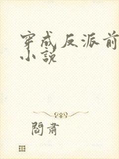 穿成反派前妻的小说