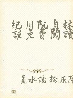 纪川阮月林九小说免费阅读最新章节