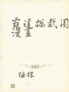 霸道总裁圈爱记漫画