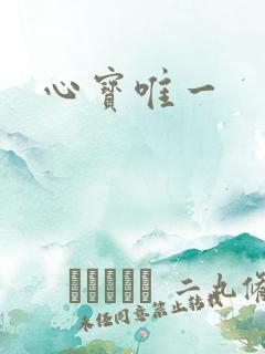 心宝唯一