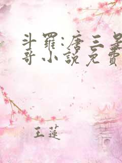 斗罗:唐三是我哥小说免费阅读