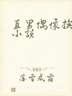 直男偶像挨日常小说