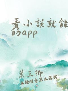 看小说就能赚钱的app