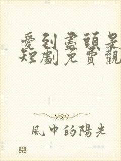 爱到尽头是荒芜短剧免费观看全集