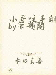 小哥住手训诫文by笔趣阁