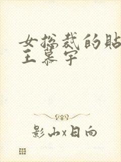 女总裁的贴身兵王慕宇