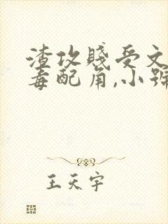 渣攻贱受文的恶毒配角,小号某某丞