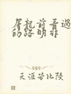 屠龙前看过龙族的路明非