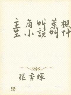 主角叫叶枫的重生小说叫什么