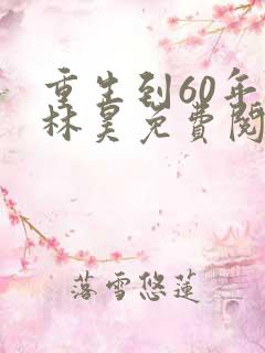 重生到60年代林昊免费阅读