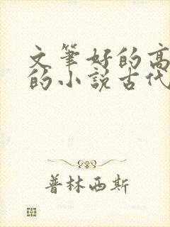 文笔好的高质量的小说古代言情