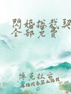 闪婚总裁契约妻全部免费