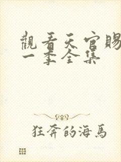 观看天官赐福第一季全集