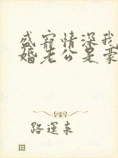 盛宠情深我的闪婚老公是豪门