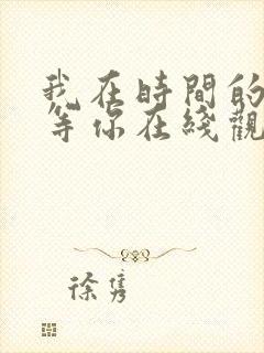 我在时间的尽头等你在线观看