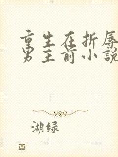 重生在折辱清冷男主前小说免费阅读