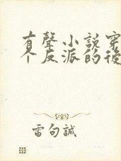 有声小说穿成五个反派的后娘