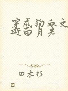 穿成狗血文的早逝白月光